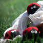 Friendsheep - Ladybug Trio Eco Dryer Balls - Set of 3