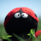 Friendsheep - Ladybug Trio Eco Dryer Balls - Set of 3