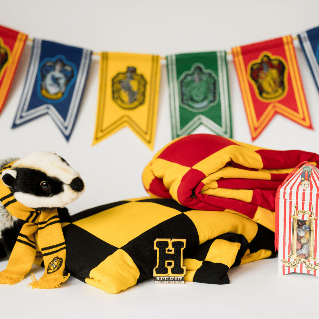 Harry Potter throw for bedroom and traveling, travel approved, stadium approved, modern aesthetic, colorful aesthetic.
