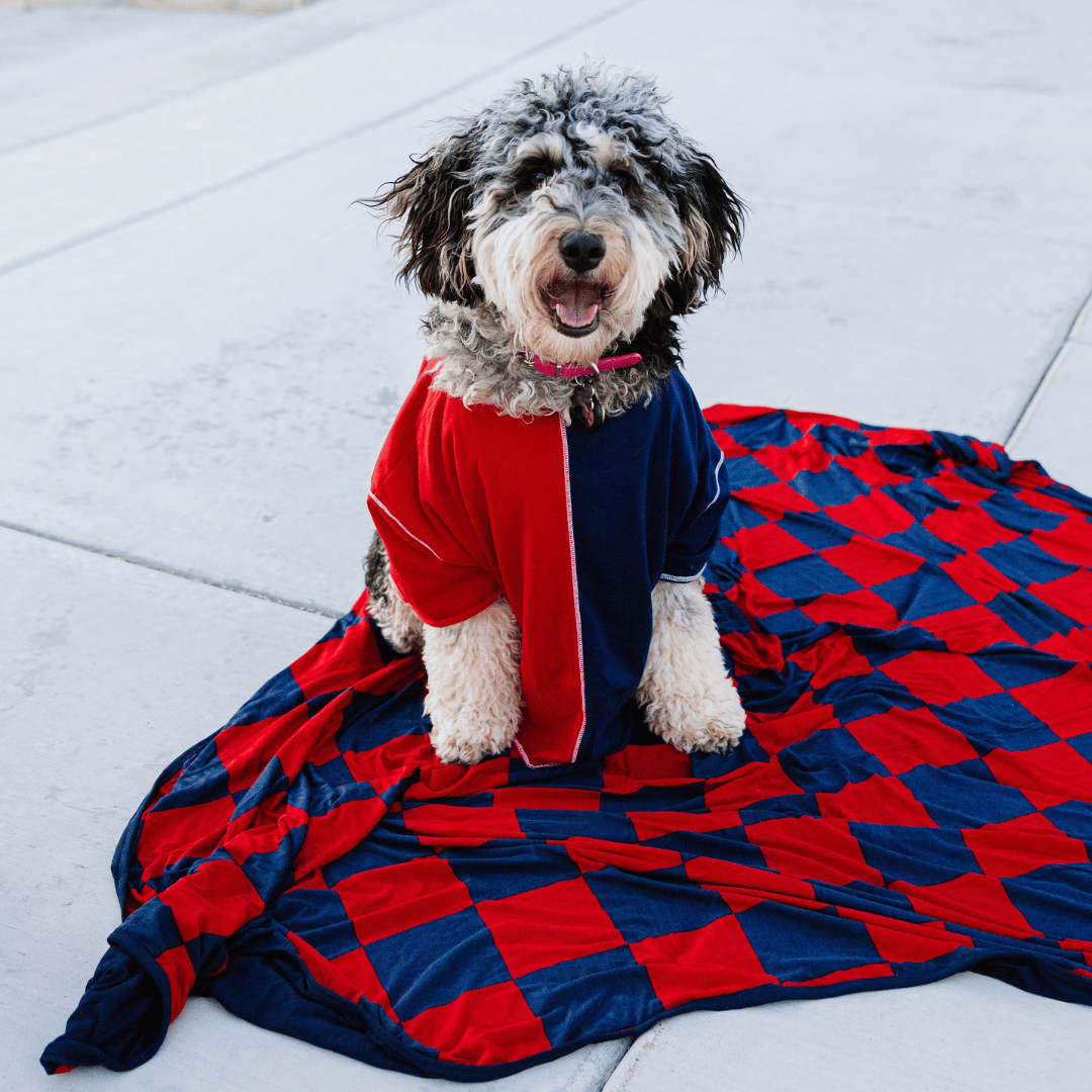 Stay cozy, gameday colors, Gonzaga Blanket, New England Patriot blanket.